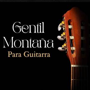 Para Guitarra