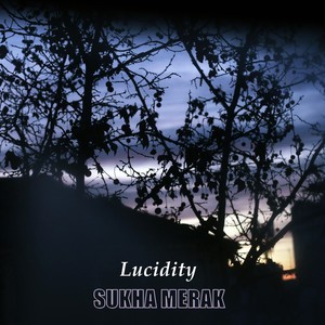 Lucidity