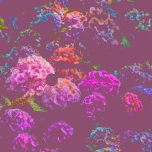 Wax On Wax Off (feat. Tophat) (Explicit)