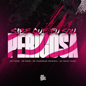 Sabe Que Eu Sou Perigosa (Explicit)