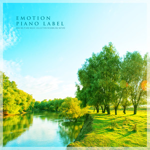 자연을 닮은 힐링 피아노 연주곡 모음 (Healing Piano Music Collection Resembling Nature)