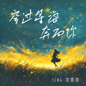 穿过星海奔向你