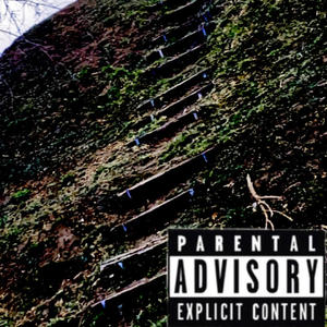 Pain Dream$ (feat. Dr.$kittles) (Explicit)