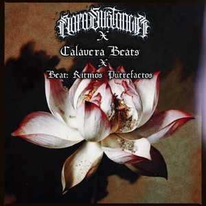 NAUSEABUNDO (Explicit)