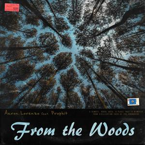 From the Woods (feat. Prophit) [Explicit]