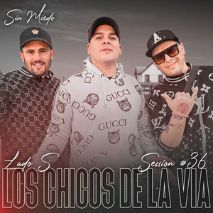 Se Fue El Amor (En Vivo)