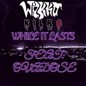 While It Lasts (feat. Ovadose) (Explicit)