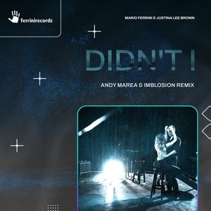 Didn't I (Andy Marea & Imblosion Remix)