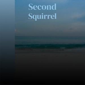 Second Squirrel