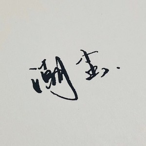 你是我心中一句惊叹封面