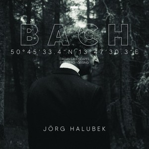 50°45'33.4"n 13°47'30.3"E (Bach Organ Landscapes / Steinberg, Geising)