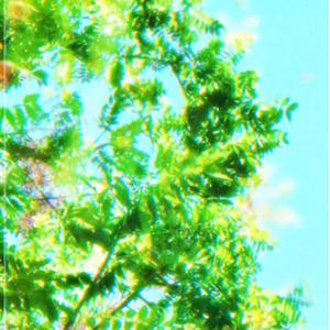 Let's Go (feat. Psych)