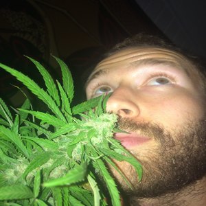 Seeker of Truth (Explicit)