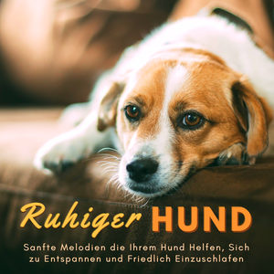 Ruhiger Hund: Sanfte Melodien die Ihrem Hund Helfen, Sich zu Entspannen und Friedlich Einzuschlafen