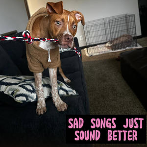 Sad Songs Just Sound Better (Explicit)