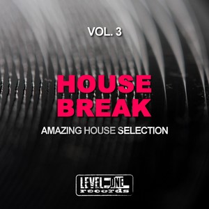 House Break, Vol. 3 (Amazing House Selection)