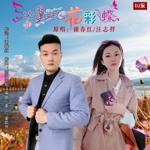 比翼双飞花彩蝶 (DJ版)