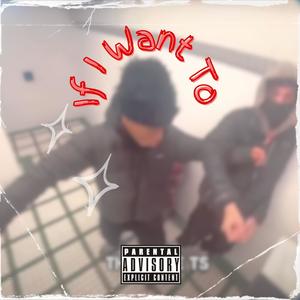If I Want To! (feat. Luvkaii) (Explicit)