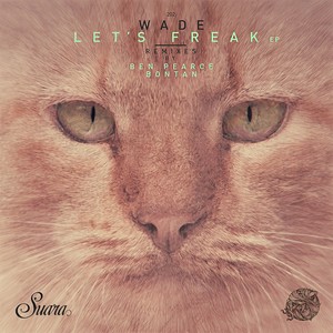 Collapsed Jam (Original Mix)