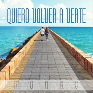 QUIERO VOLVER A VERTE