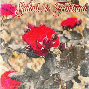 Salud y Fortuna (feat. Trinidad, Holanda a.k.a Priceless & El Hijo de Zidane) (Explicit)