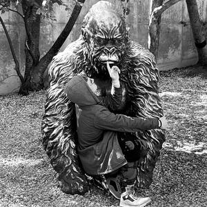 KING KONG