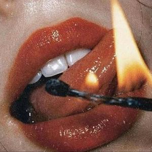 Animal (Extended Mix|Explicit)