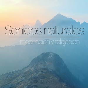 Sonidos naturales – Musica instrumantal relajante de fondo, las olas del mar, las aves & sonidos de agua, meditacion y relajacion