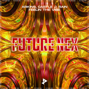 Feelin The Vibe (Extended Mix)