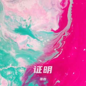 不将就-潘岩