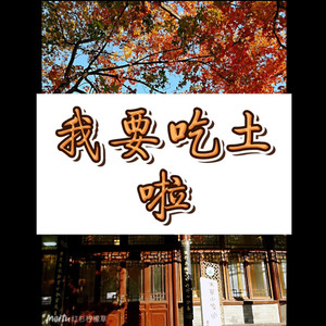 白山茶 (阳光版)