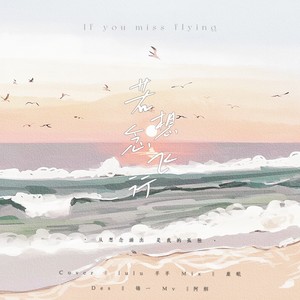 若想念飞行