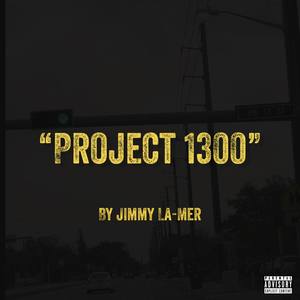 Project 1300