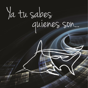 Callaita