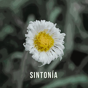 Sintonía