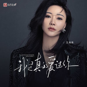 我是真的爱过你 (伴奏)