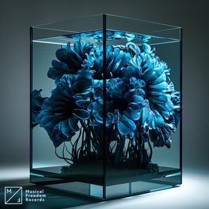 What You've Done To Me (feat. Bemendé) (Drumsheds Version|Extended Mix)