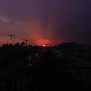 Cozy nights in Tokyo