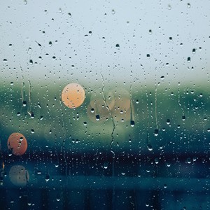 雨
