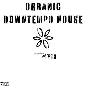 Organic Downtempo Flower House, Pt. 3 (Explicit)