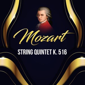 String Quintet No. 4 in G Minor, K. 516 - I. Allegro