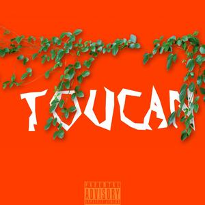 Toucan (Explicit)