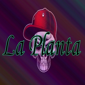 La Planta