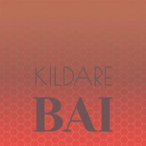 Kildare Bai