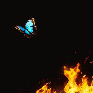 SOMETHING'S. WRONG. (Explicit)