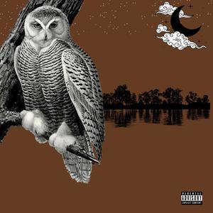 Night Owl (Explicit)