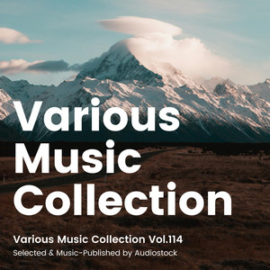 Various Music Collection Vol.114 -Selected & Music-Published by Audiostock-