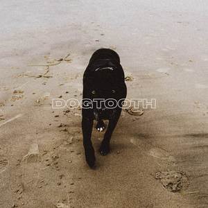 DOGTOOTH