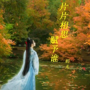 片片相思赋予谁 (女声版)