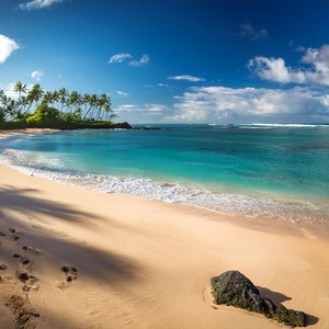 Descanso Del Mar Tranquilo
